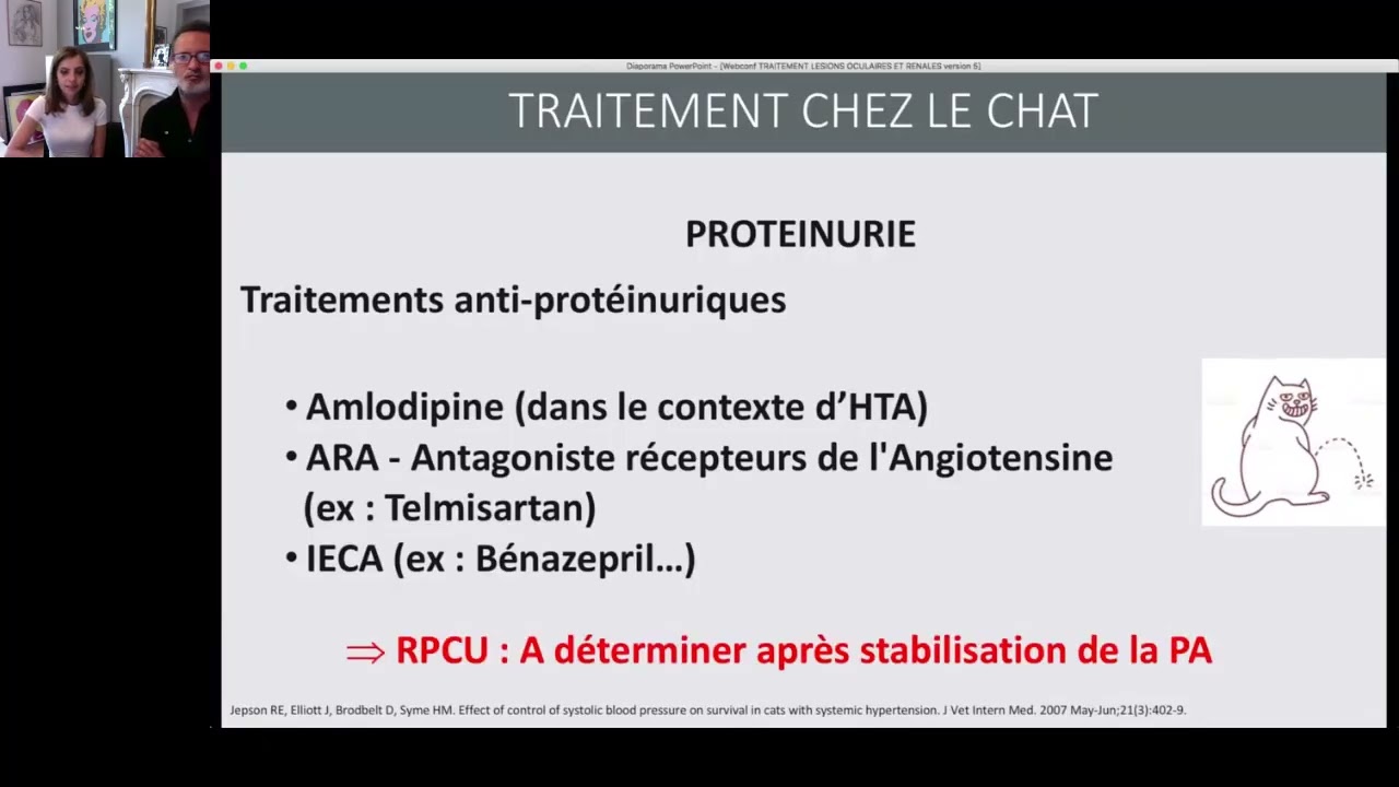 Qu'attendre du traitement de l'HTA chez un chat ayant des lésions oculaires et des lésions rénales ?