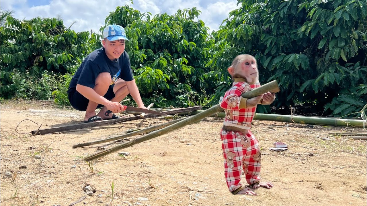 Luk the Monkey Helps Dad Build a Fun Playground Swing! Part 1