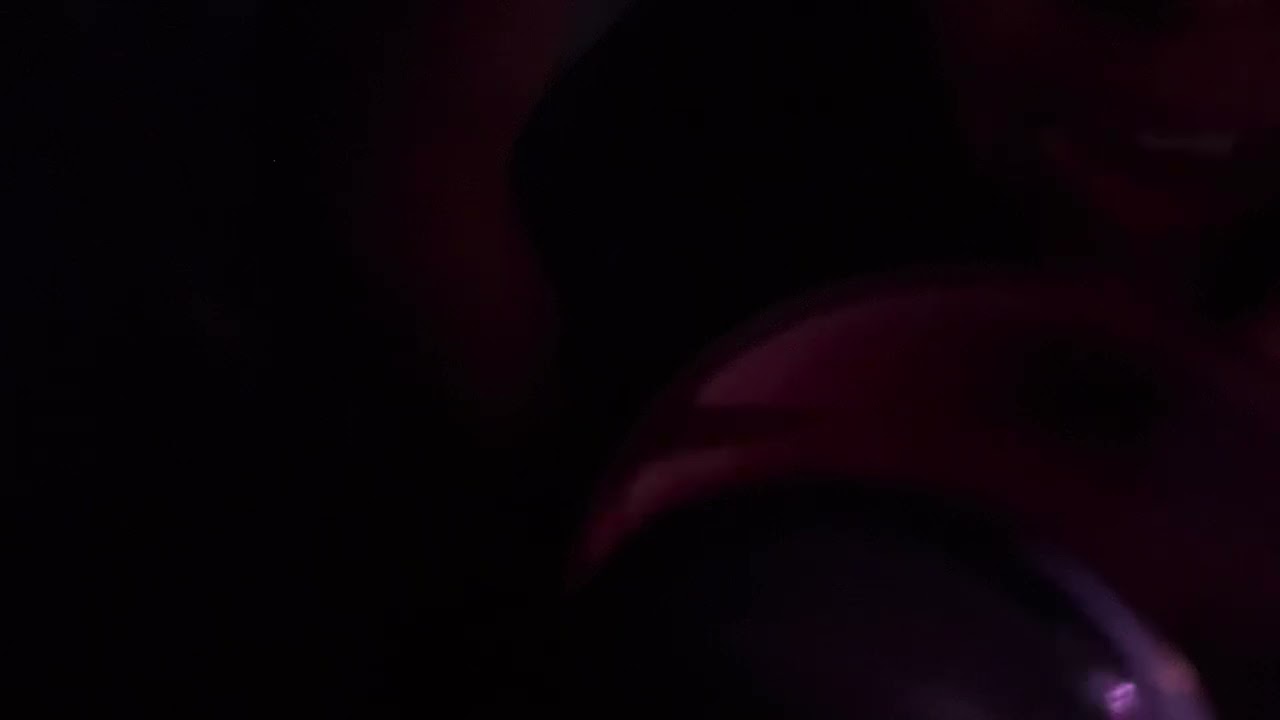 showing my perfumes lofi low quality asmr 