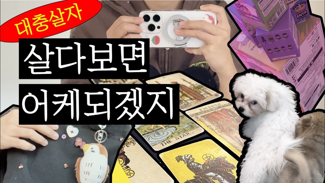 살다보면 어케든 되겠됴? VLOG ｜타로카드, 애견카페, 뽑기 랜덤박스, 운동