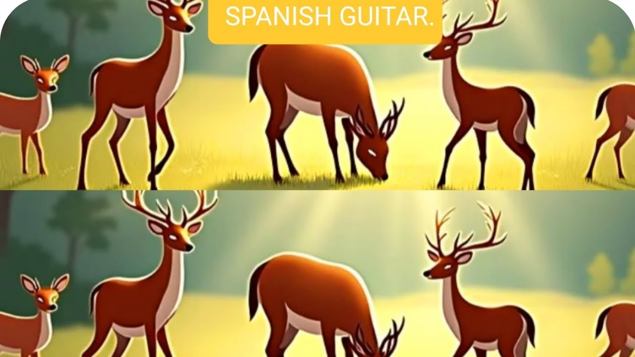DEER SOUL(Spanish Guitar)@susan2642