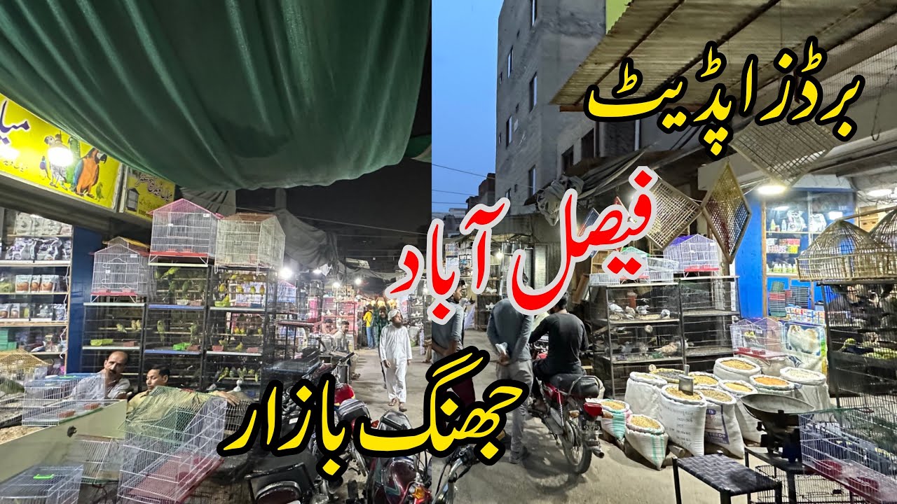 Faisalabad Sunday🦜Bird's Market جھنگ بازارمیں ہرقسم کےبرڈزملتےہیں مناسب قیمت #parrot #viral #birds