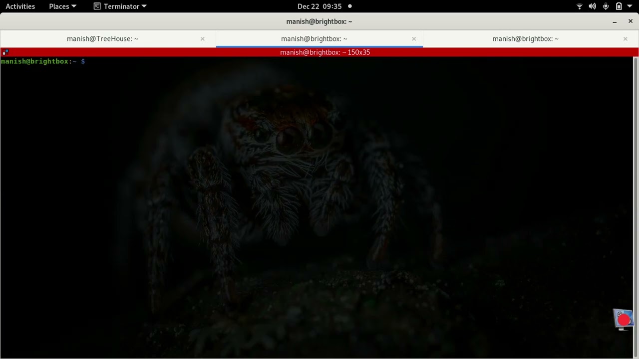 Raspberry Pi 3/4 based wireless router. Using hostapd and dnsmasq on raspbian lite 64 bit OS.