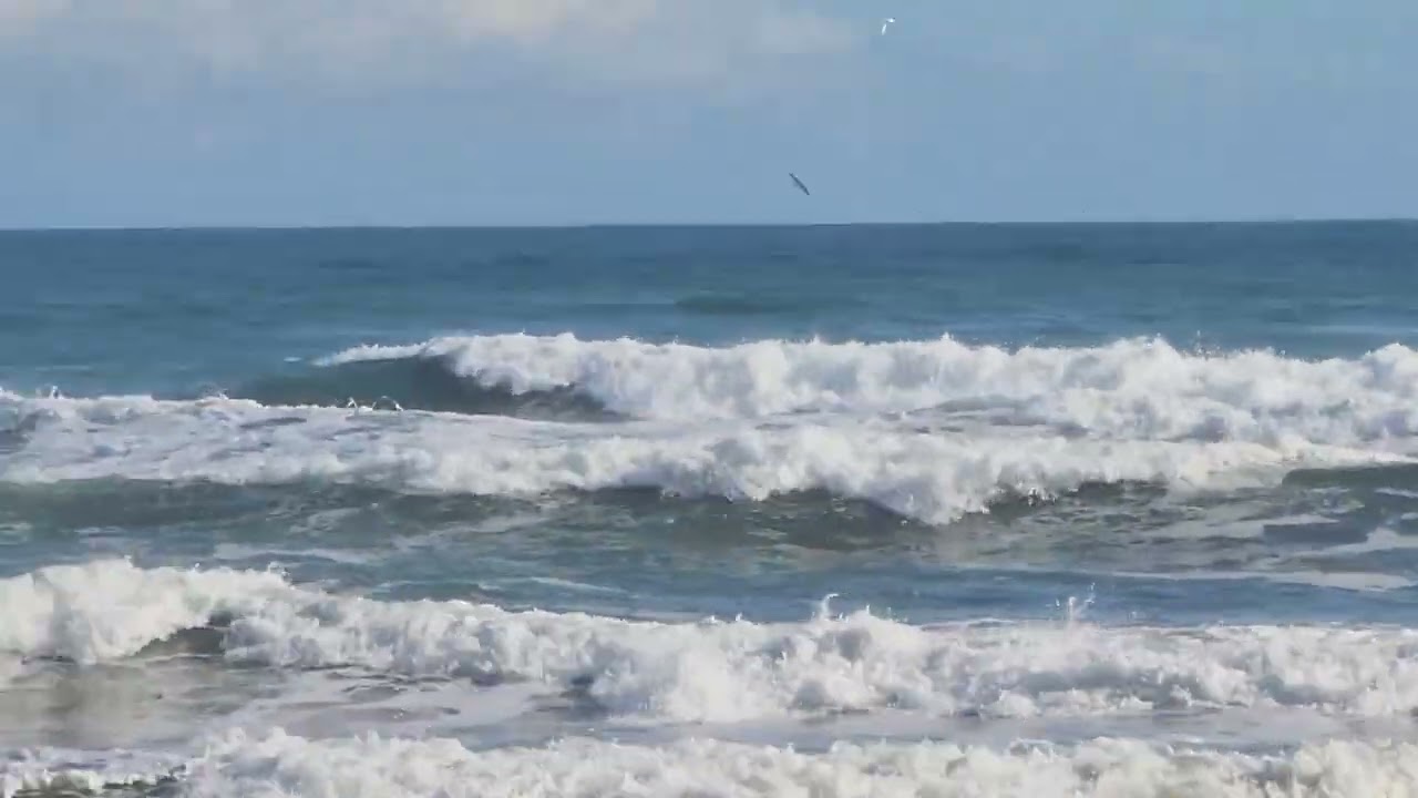 Hamilton's Gap south west  Auckland. secret location not any more. 🌊🌊🌊🌊🏄‍♂️🤘🤘🤘😲😲😲
