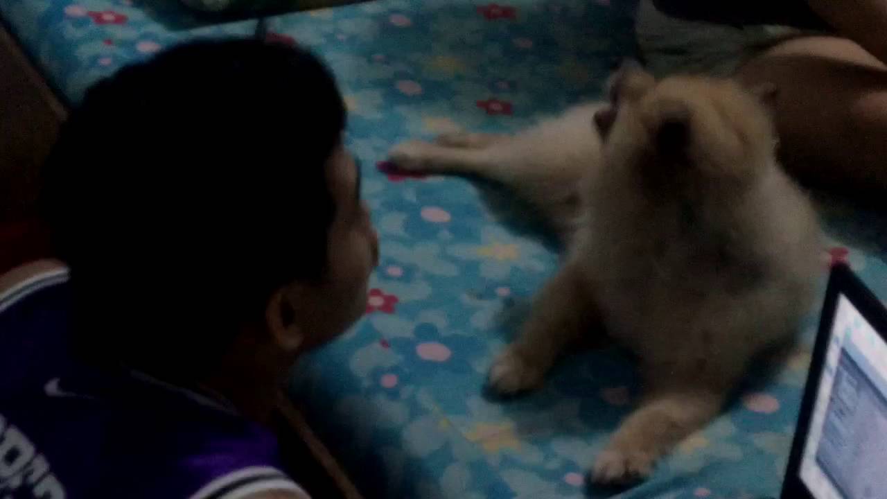 Mugsie... pak ganern...