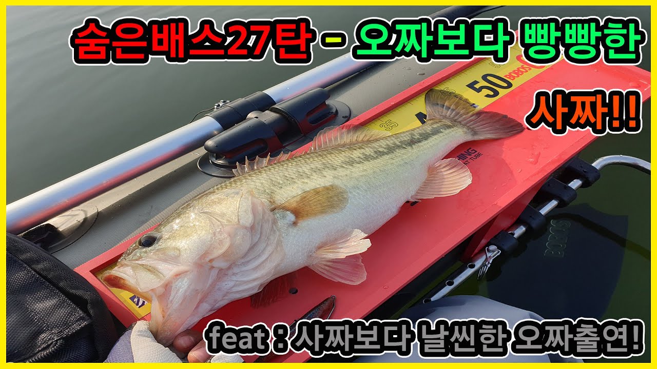 숨은배스27탄  - 대청호 밸리보트 배스낚시 오짜보다 빵빵한 사짜!