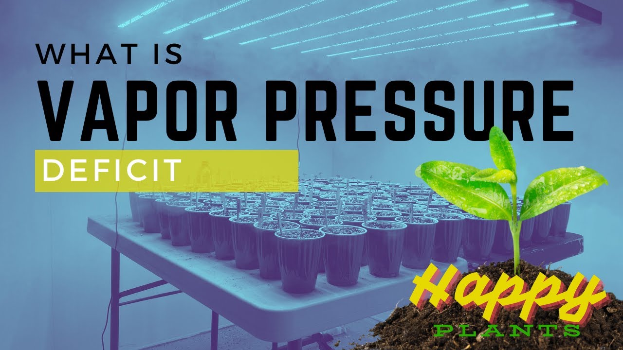 Unlock Bigger Yields: Master VAPOR PRESSURE DEFICIT / VPD  for Indoor Growing with AC Infinity Gear