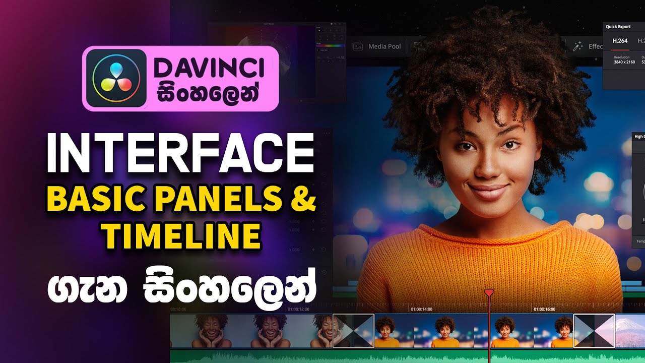 Davinci Resolve 17 Interface and Panels | Sinhala Tutorial