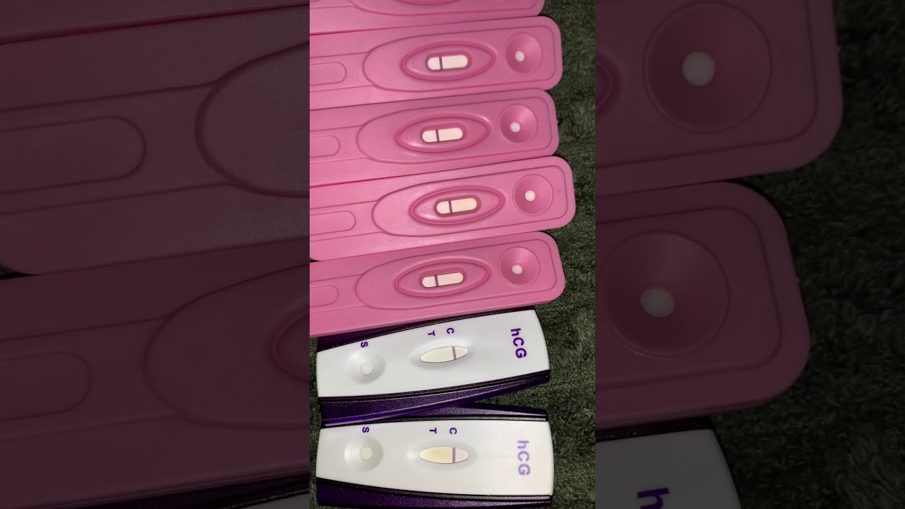 😱13 negative pregnancy test😱| 16 DPO positive pregnancy test 💕💕|Don’t give up