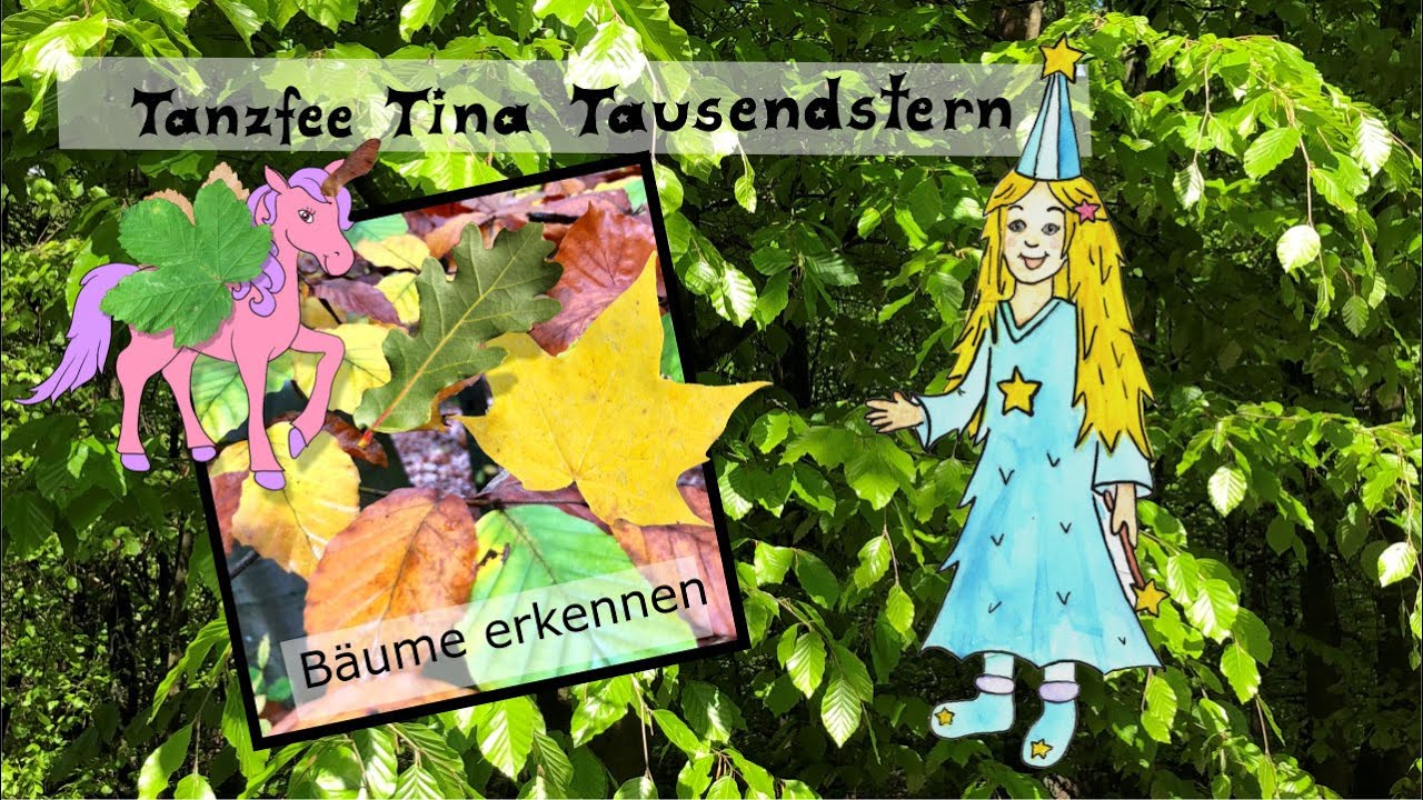 Laubbäume erkennen für Kinder - Ahorn, Eiche  und Buche 🍁