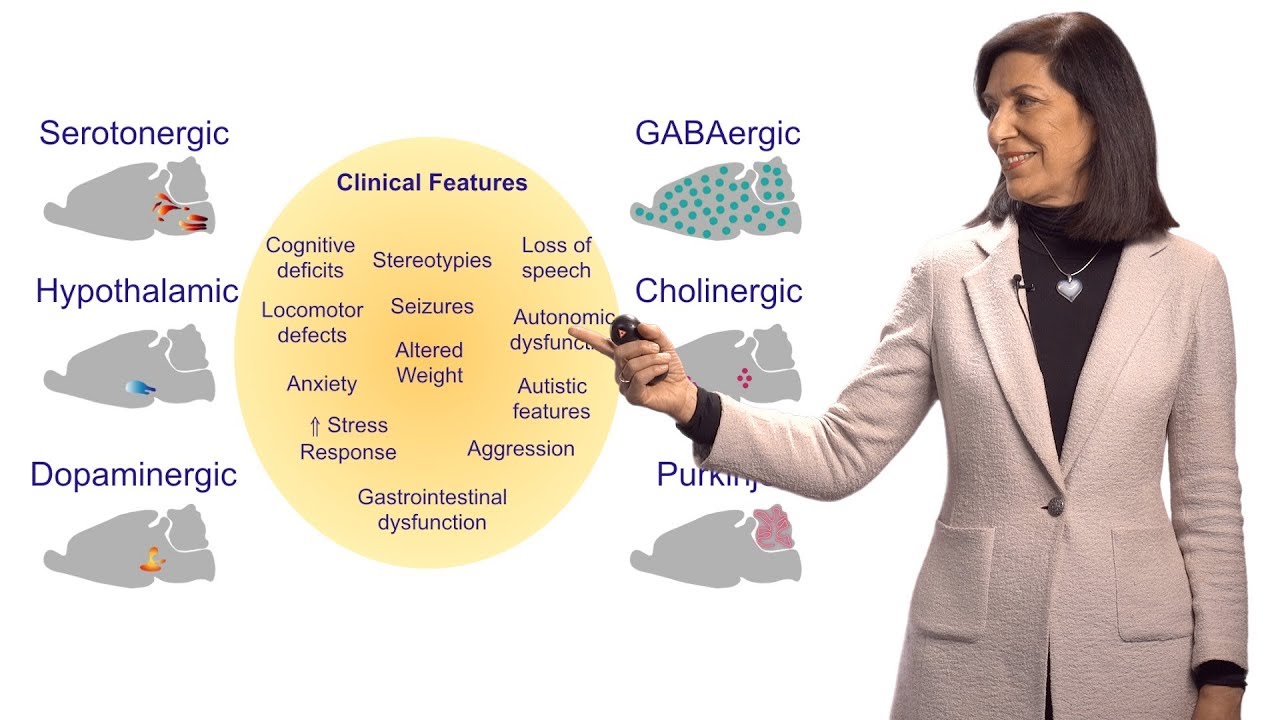 Huda Zoghbi (BCM/TCH) 2: Pathogenesis of MeCP2 Disorders