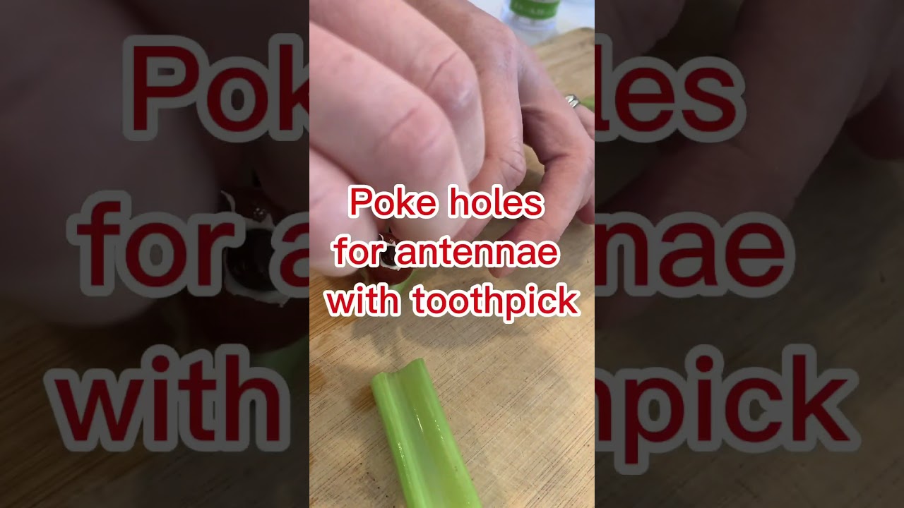 &ldquo;Bug&rdquo; snacks - a fun way to get your kids to eat their fruits and veggies!