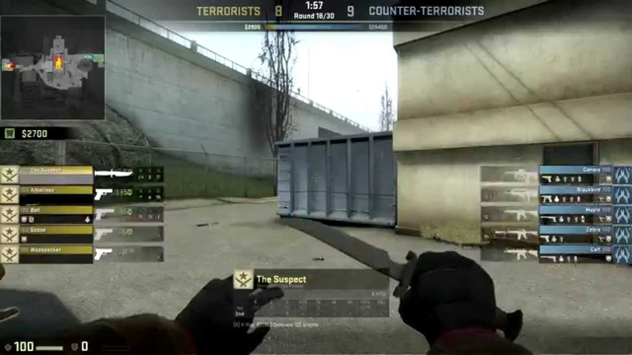 CS:GO Overwatch - Griefing