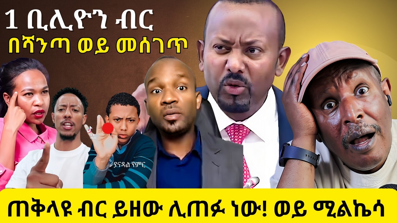ሰዎች የማይወዱትን ነገር ተናገሩ! ጠቅላዩ ብር ይዘው ሊጠፉ ነው ወይ ሚልኬሳ - 1 ቢሊዮን ብር በሻንጣ ወይ መሰገጥ