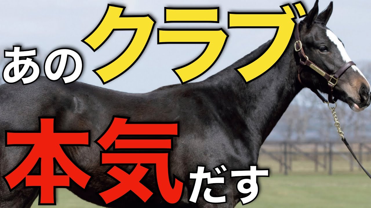 【覚醒気配】あの一口馬主クラブが2歳戦で快進撃！ついに本領発揮か？
