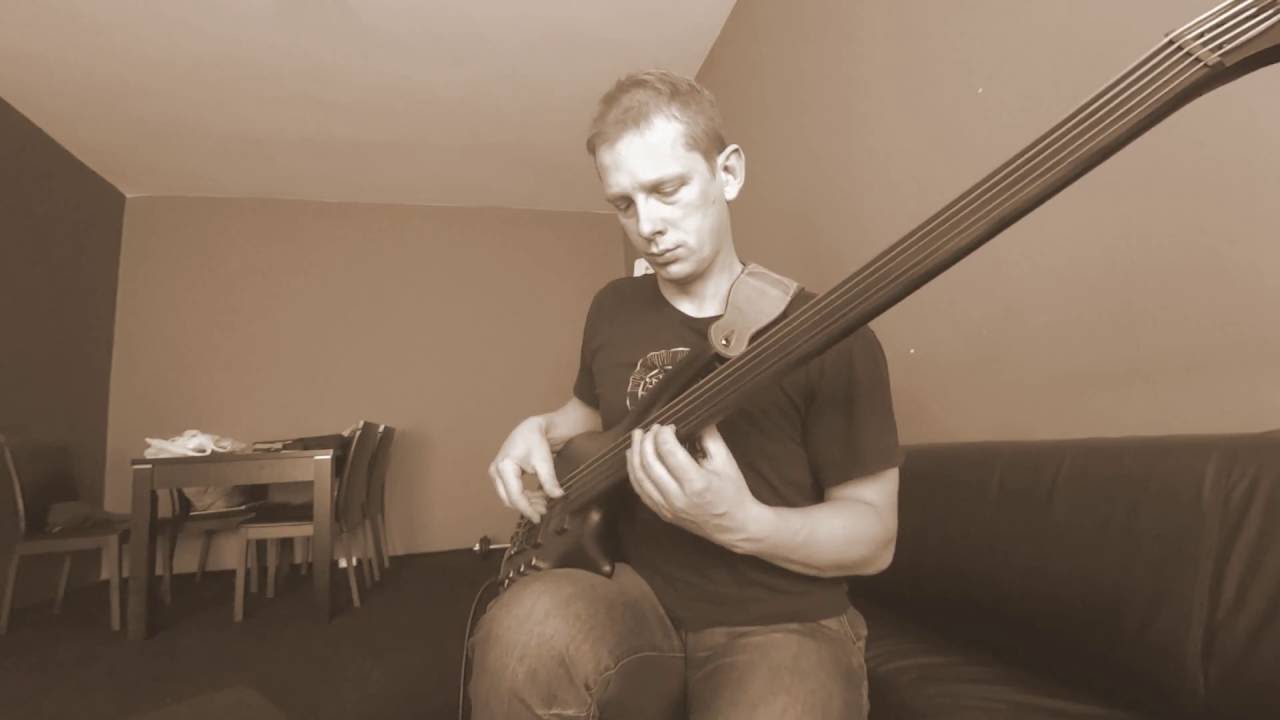 Ibanez Portamento fretless bass with piezo pickup SRF 705 + ADMini Delay - Kosma Kalamarz
