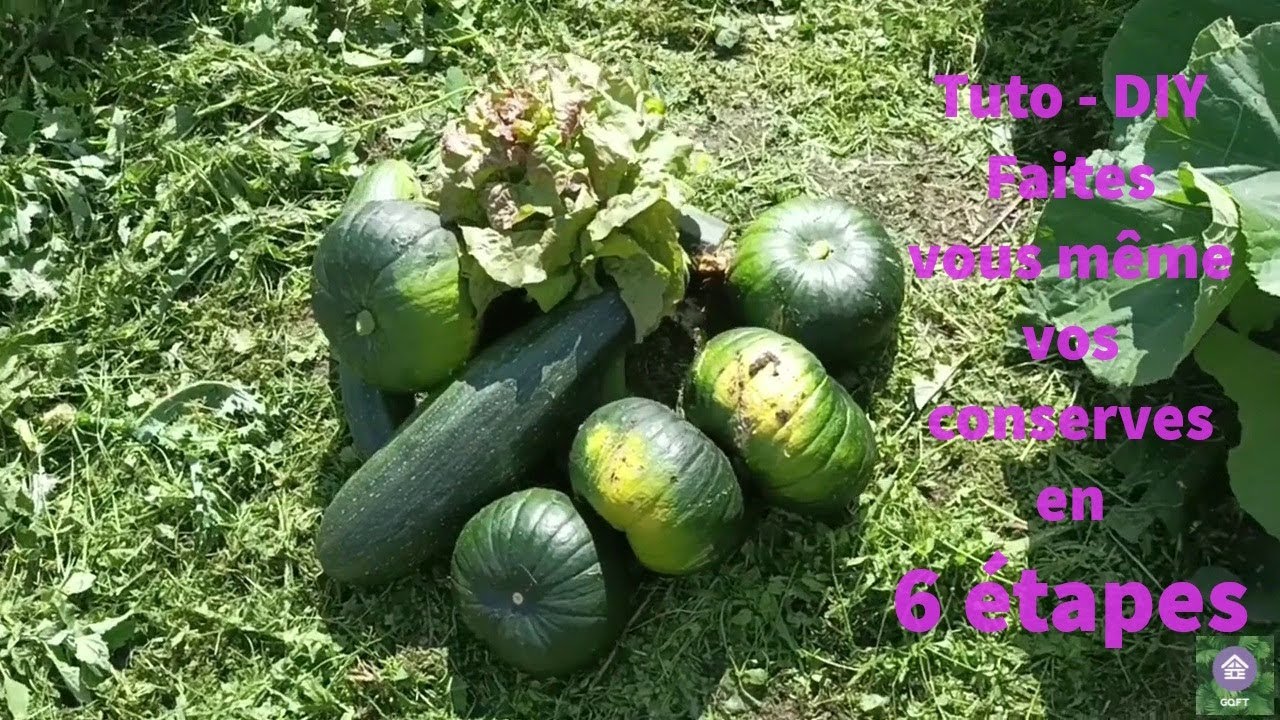 Tuto : conserves de courgettes  24 07 24