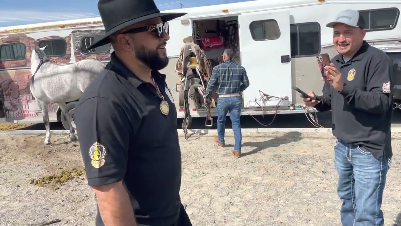 Caballos bailadores del 5 de mallo 2023