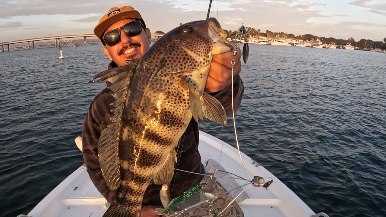 WAR/RIG unstoppable! | full fishing Break Down | Mission Bay | Afran Abutin