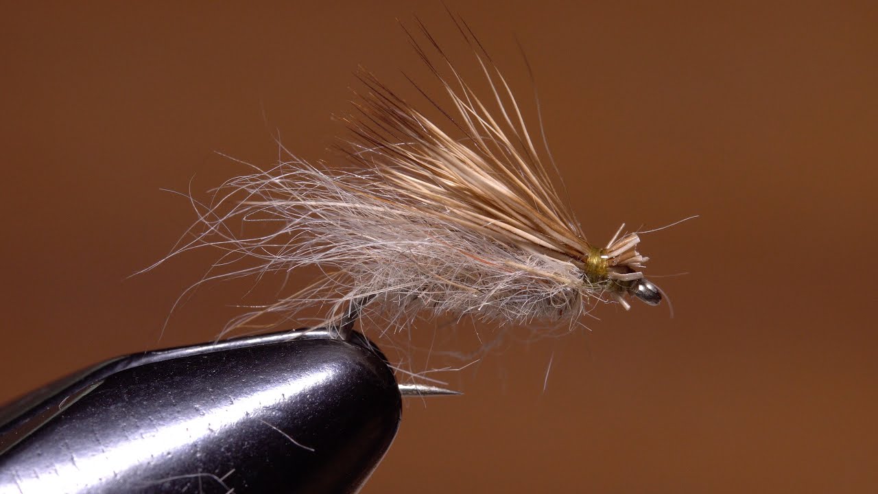 Dustup Caddis