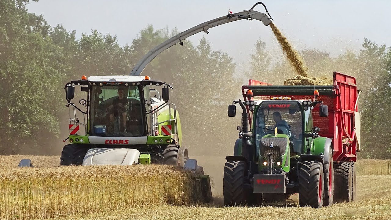 GPS Hakselen | Claas Jaguar 940 + Direct Disc 610 | Geresteijn | 2019