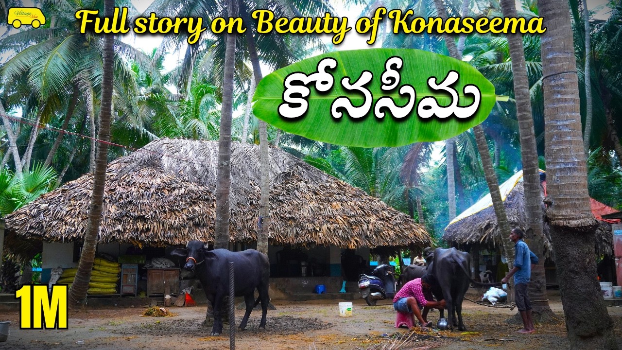 కోనసీమవాళ్లతో కష్టమే.. అయ్ Full story on KONASEEMA సరదా మాటలు కోనసీమ అందాలు Funny konasima people