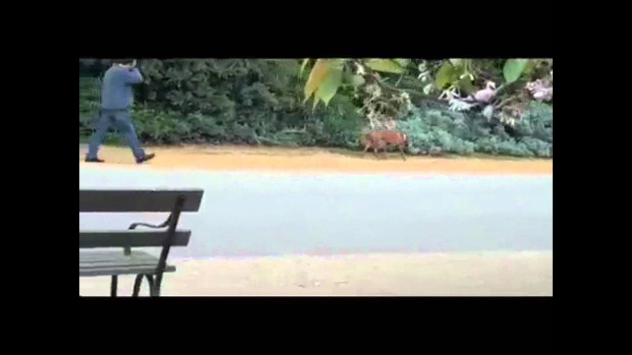 The Wanted Funniest Moments