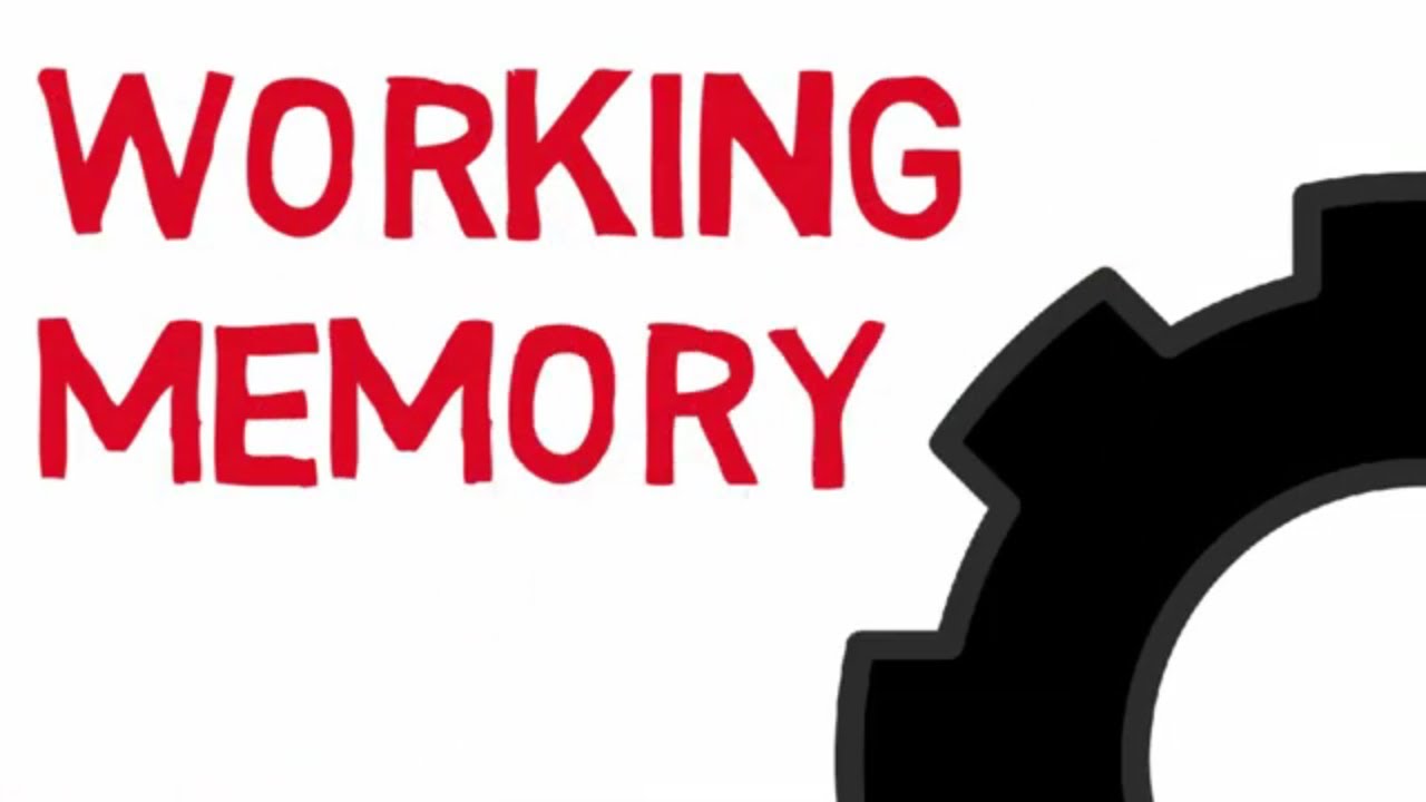 What is Working Memory?