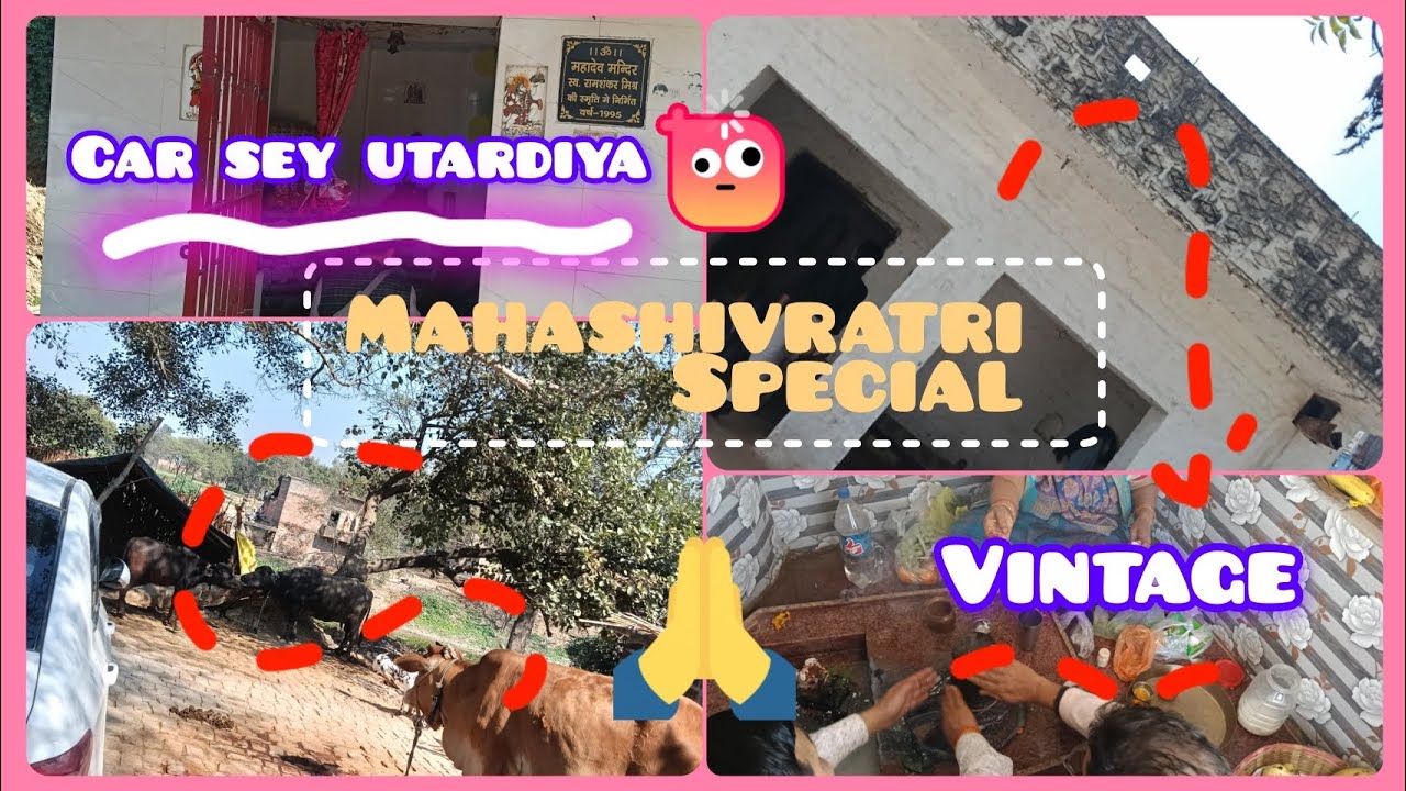 🩷Mahashivratri🙏HarHarMahadev💖A random day||The curious vibe 