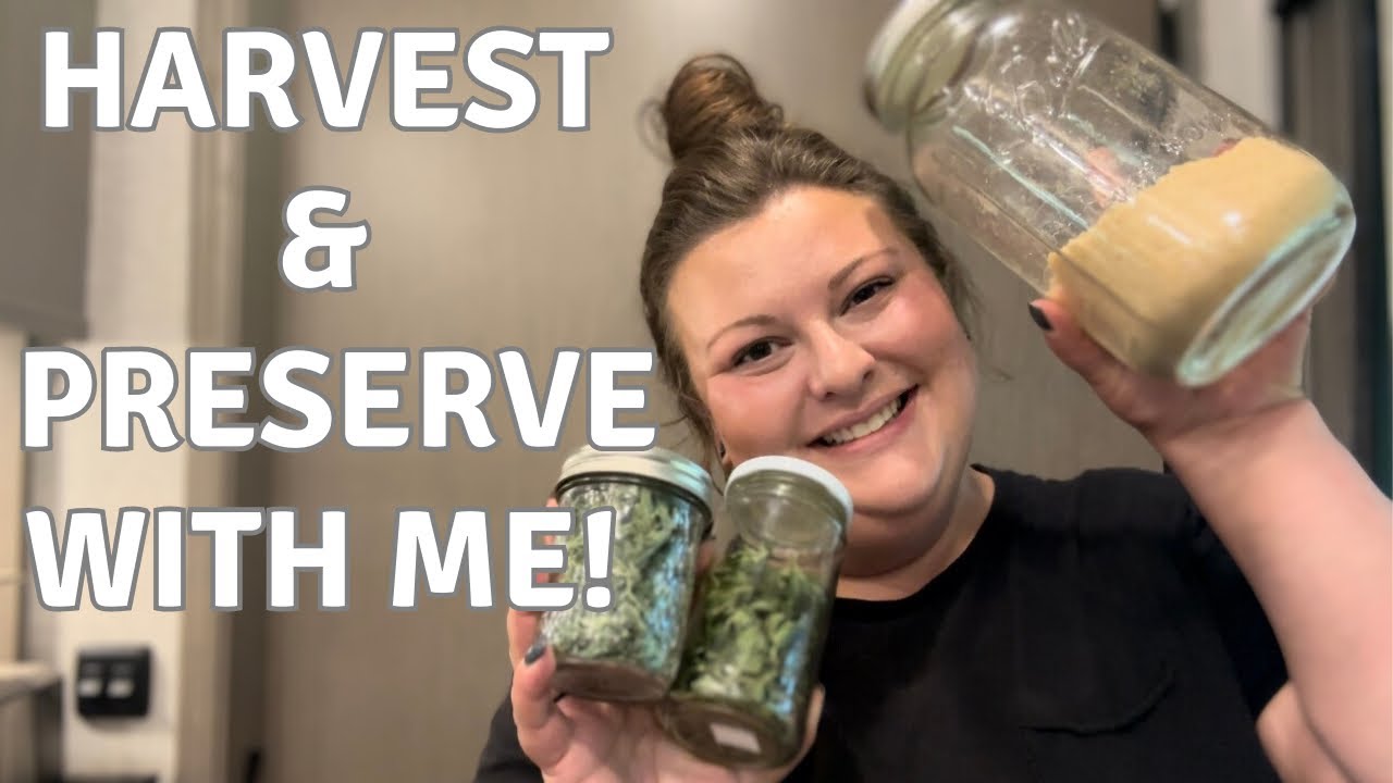 Freeze Dryer Preserving | Freeze Dried Chicken Broth | Harvest Right Freeze Dryer | Bone Broth