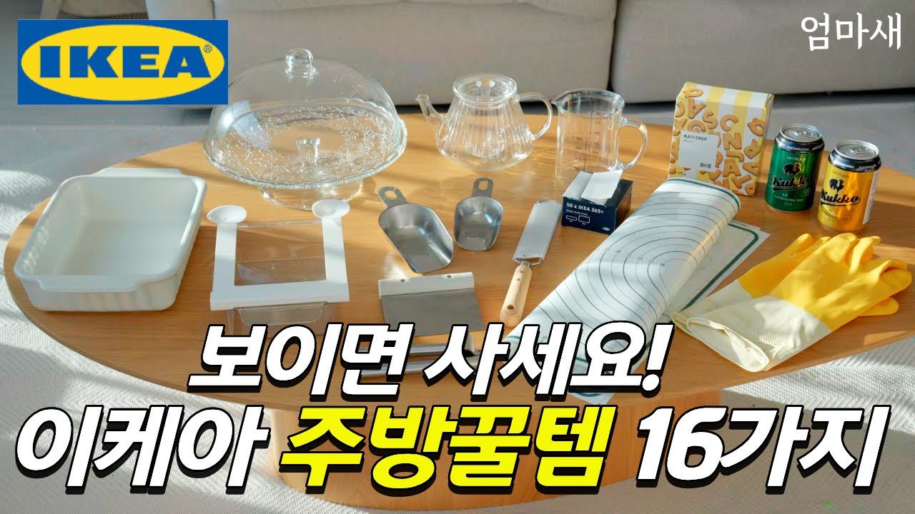 이케아 가기 전 필수시청‼️ 실패없는 주방용품 추천템, 비추천템 정리 | 2026년 주목받는 신제품, 꿀템 리뷰