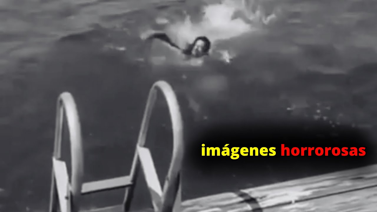30 Incidentes M&aacute;s ATERRADORES Que te ATERRORIZAN | Compilaci&oacute;n de Terror V97