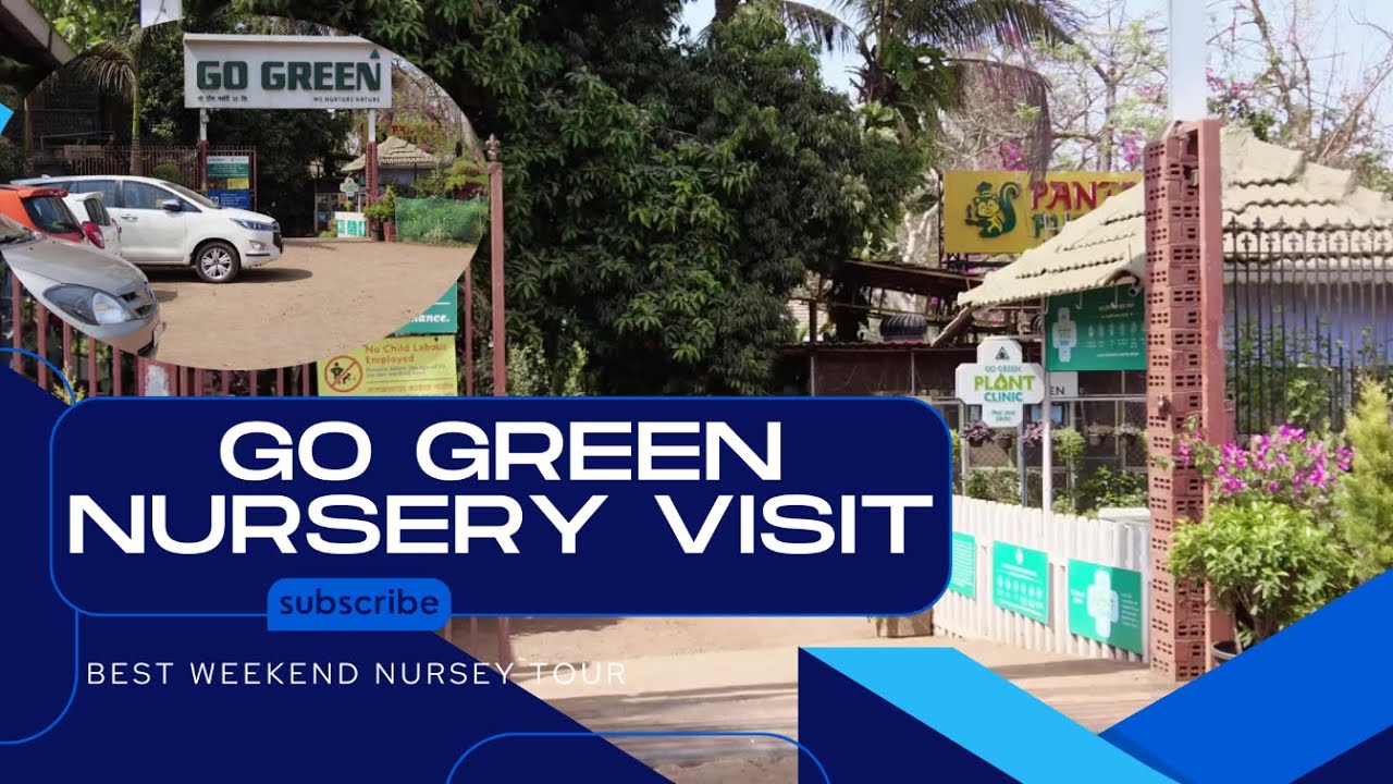 Ultimate Mumbai Nursery Tour: Hidden Green Paradise Found