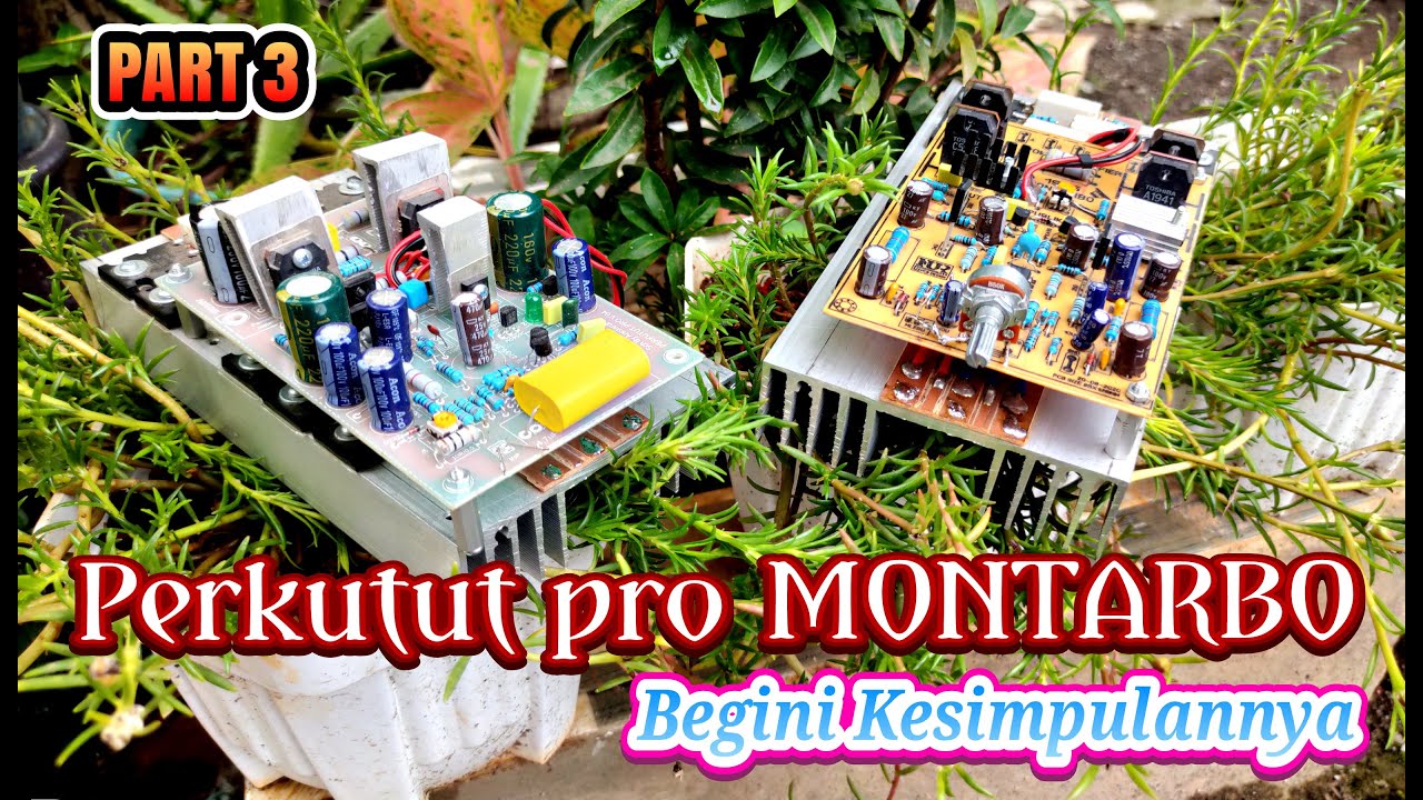 Ngadu Power Montarbo Vs Perkutut Pro Begini Hasilnya..