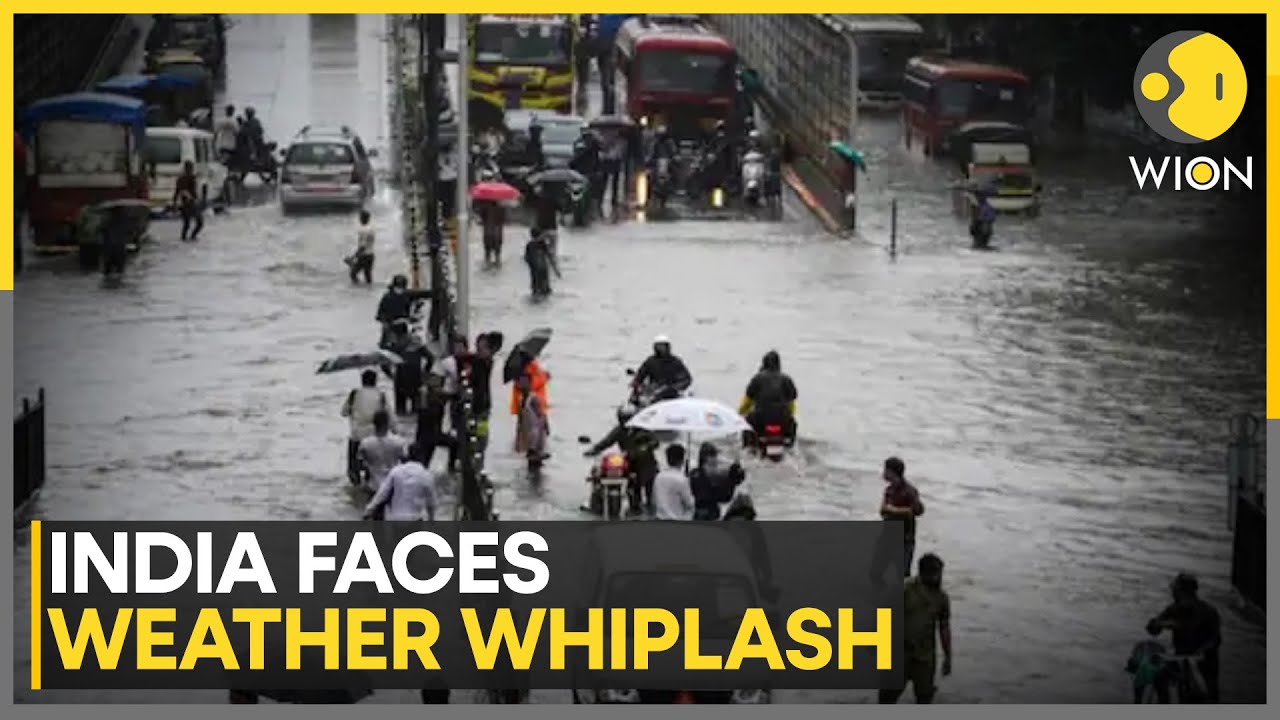 India's Weather: IMD Issues All-India Weather Warning, Sounds Red Alert in Maharashtra | WION News