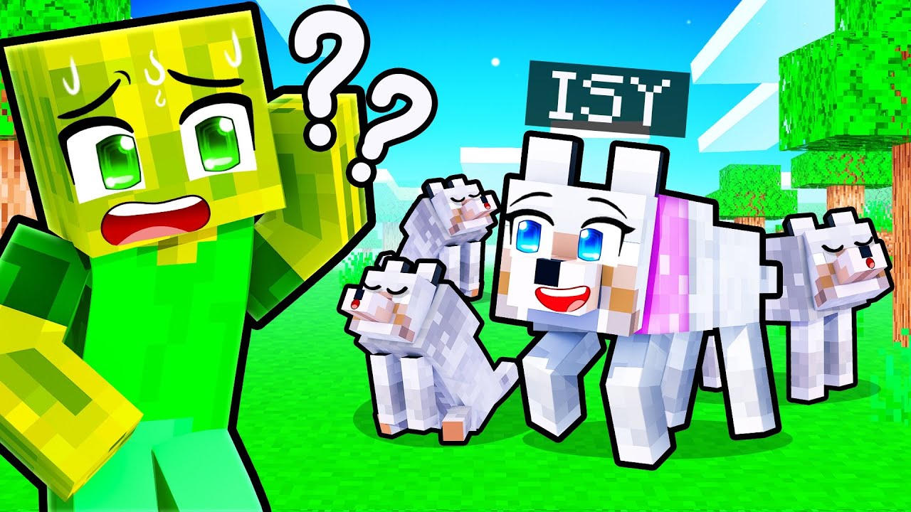 VERSTECKEN SPIELEN als HUNDE! 🌸 Minecraft