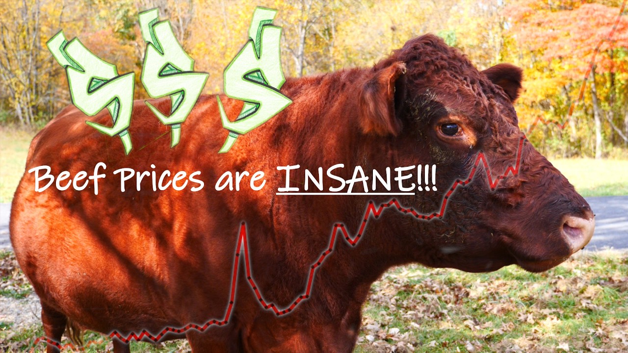Why Beef Prices Are Skyrocketing in 2026: Drought, Screwworm & Tariffs Explained