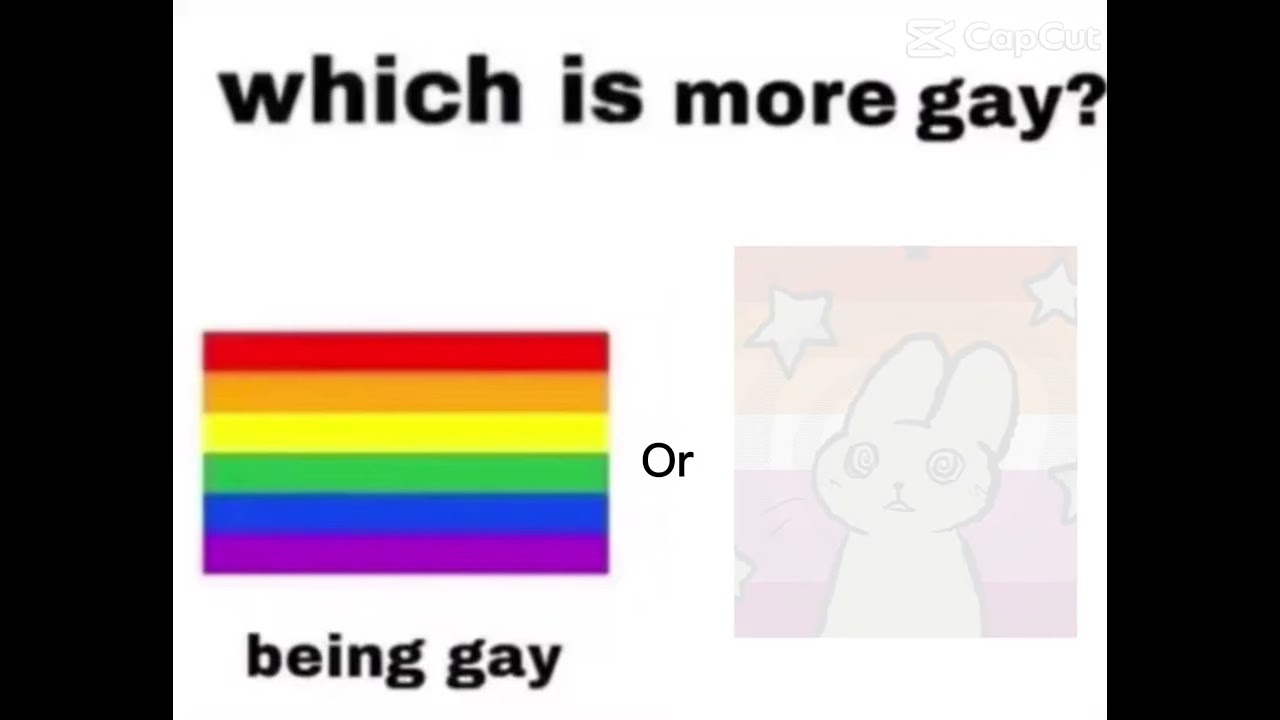 Which is more gay??