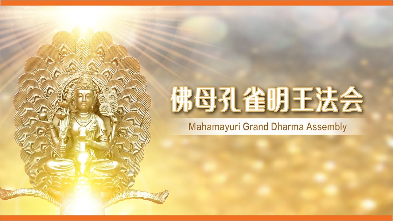 20260208 佛教盛事 ｜佛 母 孔 雀 明 王 超 度 祈 福 大 法 会
