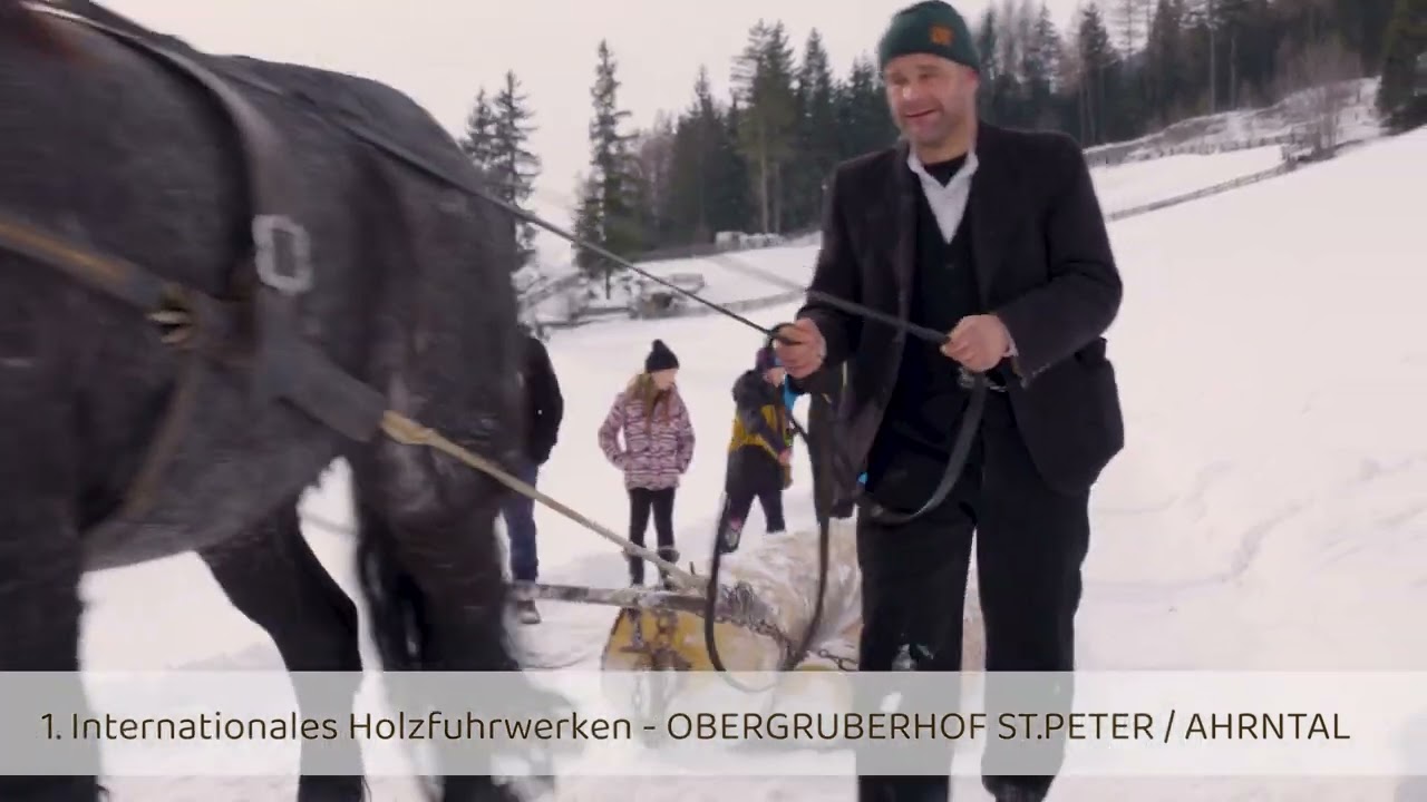 1. Internationales Holzfuhrwerken - Obergruberhof St.Peter /Ahrntal