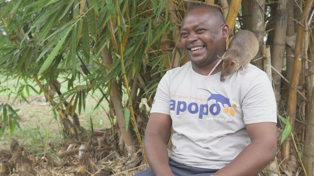 Faces of Africa - Fidelis, APOPO and the Hero Rats