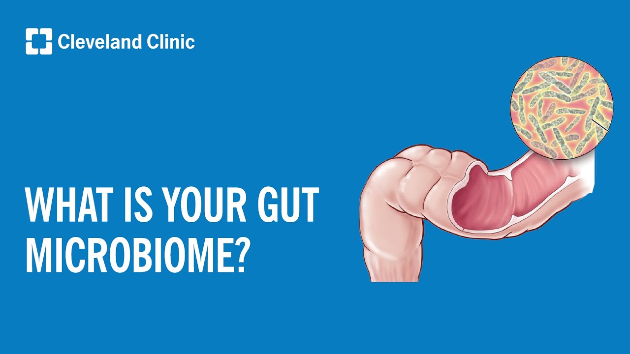 What Is Your Gut Microbiome?