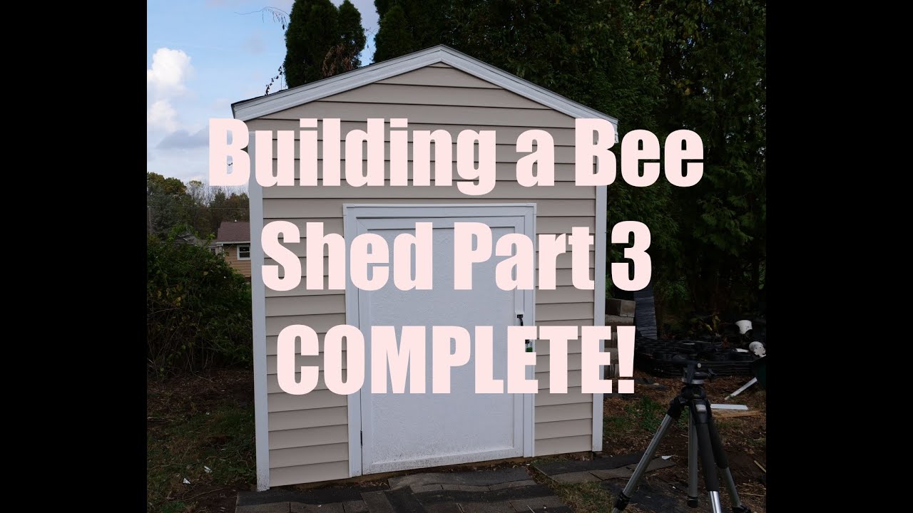 Building A Bee Shed Part 3 COMPLETE!