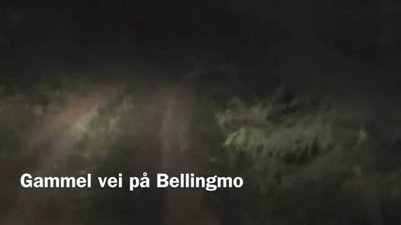 Gammel vei p&aring; Bellingmo