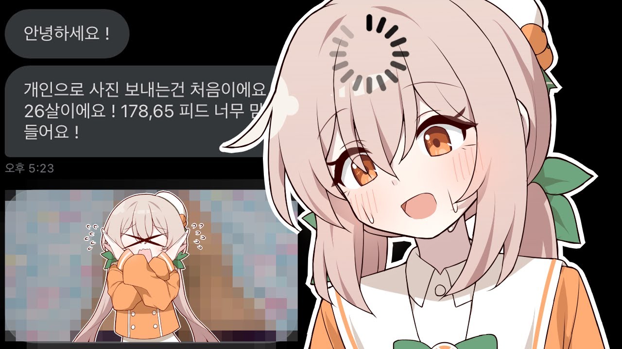 스트리머들은 진짜 XX사진 받나요?