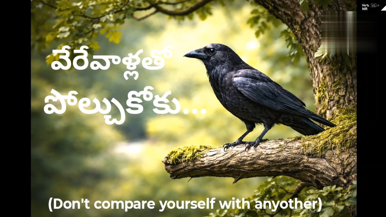 వేరేవాళ్లతో పోల్చుకోకు...( Don't compare yourself with Anyone)...