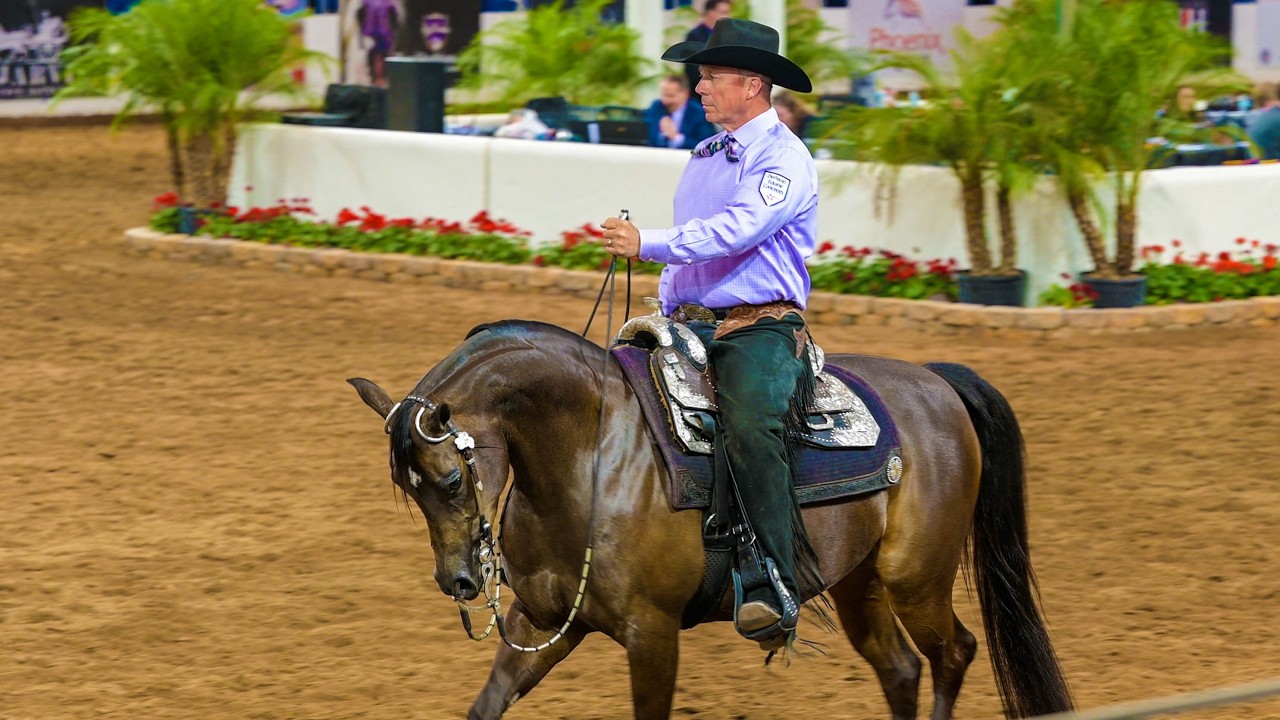 Чемпионат по вестерн-выездке среди полуарабских лошадей из Скоттсдейла