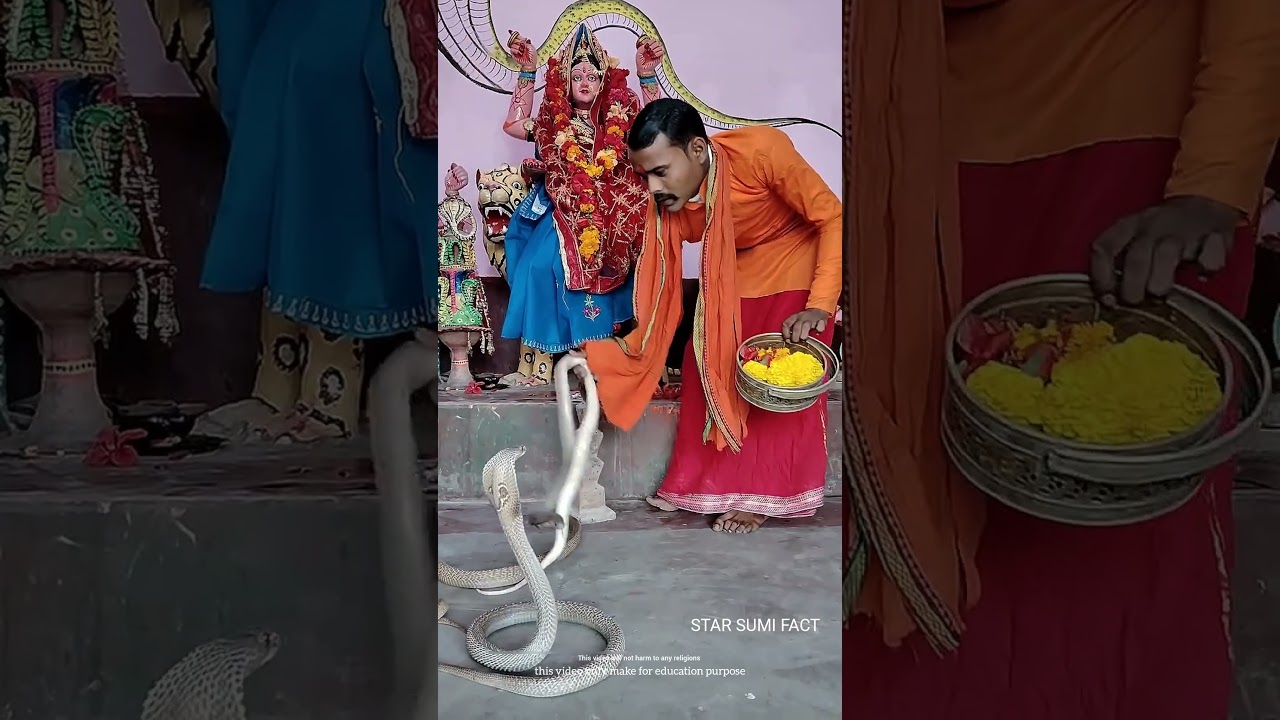 Miracal Snake Temple #shortsvideo