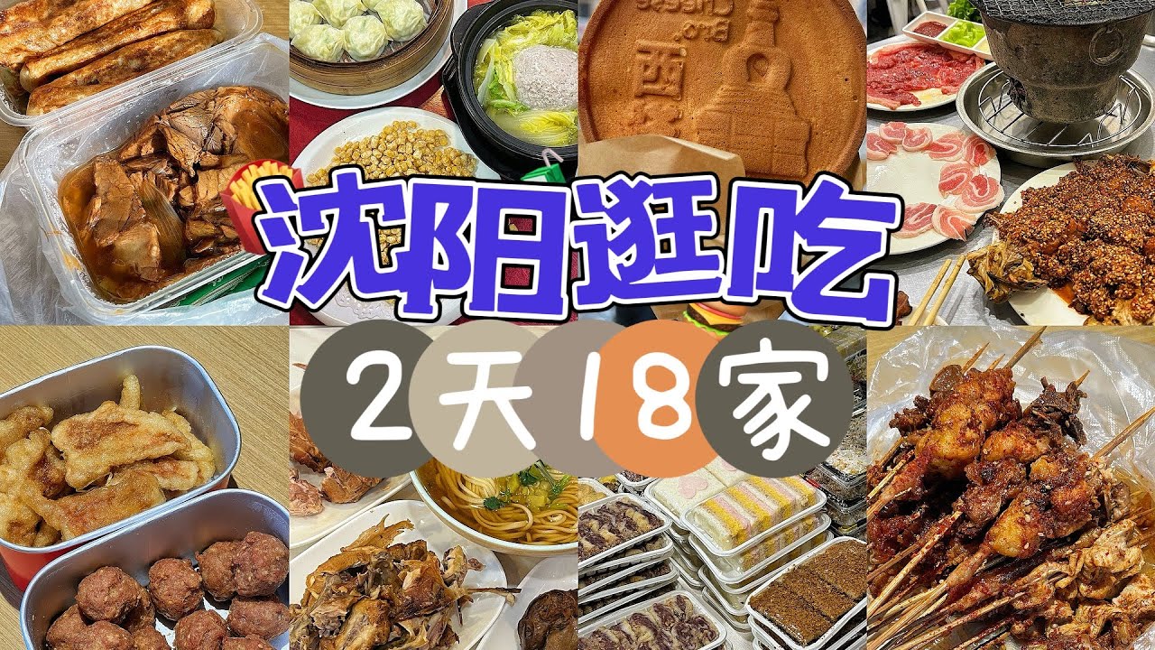 沈阳！超爱吃母女特种兵2天18家！好吃我真的说累了！