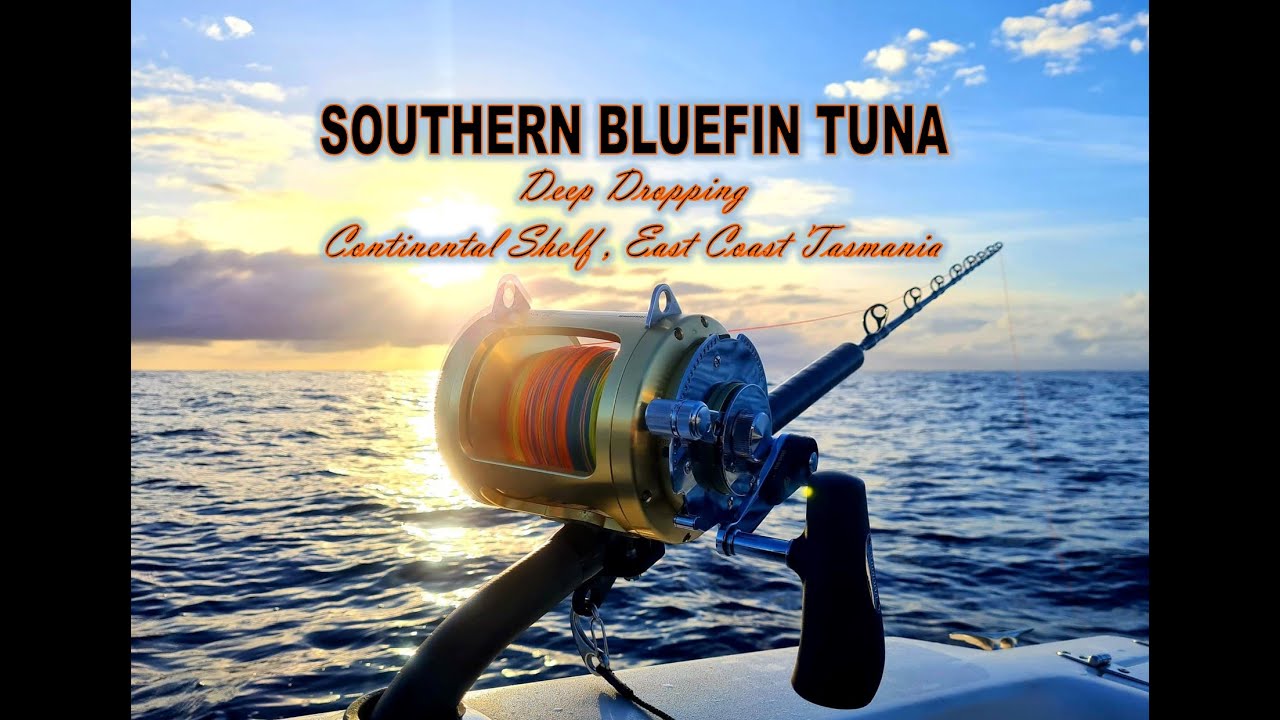 Deep Dropping. Continental Shelf, East Coast Tasmania. Another Southern Bluefin Tuna from down deep.